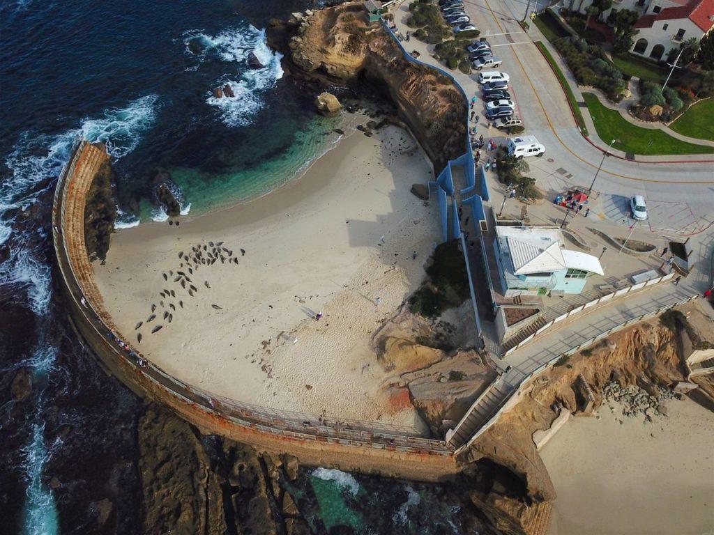 Things to see and do in San Diego - La Jolla Cove