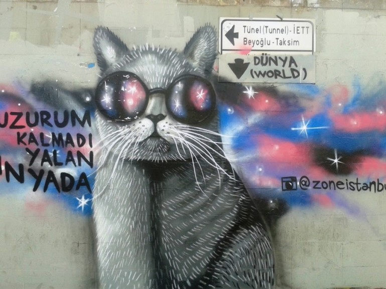 кошачье граффити в Стамбуле