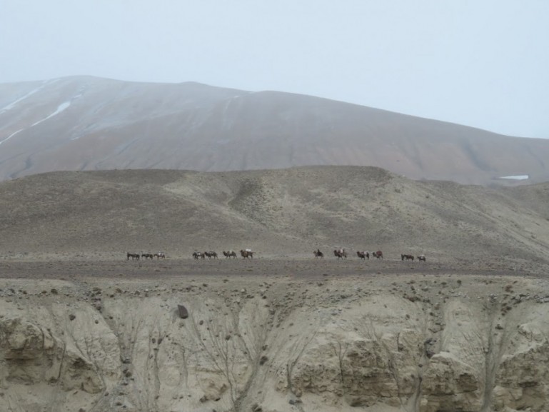 Camel caravan on the Pamir highway Tajikistan